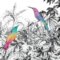 Purchase A Vision Of Panorama - Two Birds (EP)