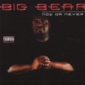 Buy Big Bear - Now Or Never Mp3 Download