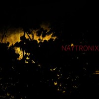Purchase Naytronix - Naytronix