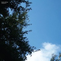 Purchase Cloud Nothings - Turning On (Deluxe 10Th Anniversary Edition)