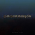 Buy Watch Out Stampede! - Northern Lights Mp3 Download