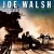 Buy Joe Walsh - You Bought It, You Name It (Vinyl) Mp3 Download