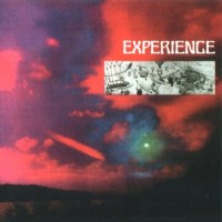 Purchase Experience - Experience (Vinyl)