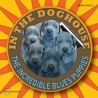 Purchase The Incredible Blues Puppies - In The Doghouse