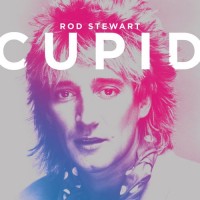 Purchase Rod Stewart - Cupid