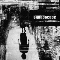 Purchase Synapscape - A Mutual Disagreement