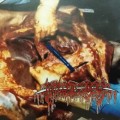 Buy Bowel Stew - Splatterhouse Mp3 Download