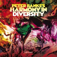 Purchase Peter Banks - Peter Banks's Harmony In Diversity - The Complete Recordings CD3
