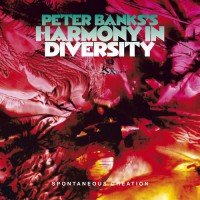 Purchase Peter Banks - Peter Banks's Harmony In Diversity - The Complete Recordings CD6