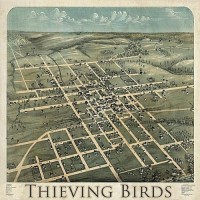 Purchase Thieving Birds - Thieving Birds