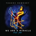 Buy Yaakov Shwekey - We Are A Miracle Mp3 Download