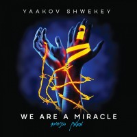 Purchase Yaakov Shwekey - We Are A Miracle