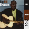 Buy Big Bill Broonzy - Black, Brown & White Mp3 Download