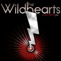 Buy The Wildhearts - Chutzpah! Jnr. Mp3 Download