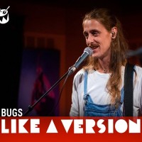 Purchase Bugs - Charlie (CDS)