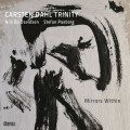 Buy Carsten Dahl Trinity - Mirrors Within Mp3 Download