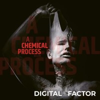 Purchase Digital Factor - A Chemical Process