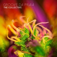 Purchase Groove Da Praia - The Collective