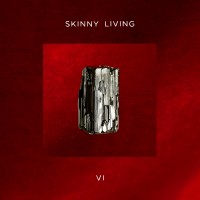 Purchase Skinny Living - 6