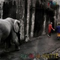 Buy Rue De La Muette - Parade Mp3 Download