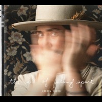 Purchase Serena Ryder - The Art Of Falling Apart