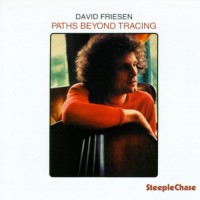 Purchase David Friesen - Paths Beyond Tracing (Vinyl)