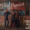 Buy Wild Ponies - Things That Used To Shine Mp3 Download