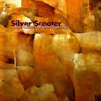 Purchase Silver Scooter - The Other Palm Springs