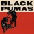 Buy Black Pumas - Black Pumas (Expanded Deluxe Edition) CD2 Mp3 Download
