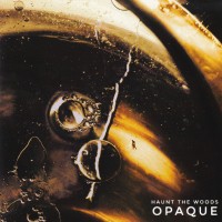 Purchase Haunt The Woods - Opaque