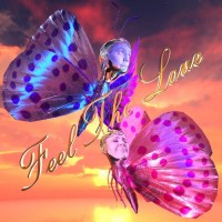 Purchase Daði Freyr - Feel The Love (CDS)