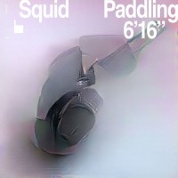 Purchase Squid - Paddling (CDS)