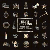 Purchase Elvis Perkins - While You Were Sleeping (CDS)