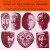Buy VA - Music Of The World's Peoples Vol. 2 (Vinyl) Mp3 Download