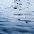 Buy Purl - A Quiet Awakening Mp3 Download