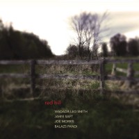 Purchase Wadada Leo Smith - Red Hill (With Jamie Saft, Joe Morris, Balázs Pándi)