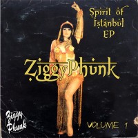 Purchase Ziggy Phunk - Spirit Of Istanbul (EP)