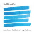 Buy Susan Alcorn, Leila Bordreuil & Ingrid Laubrock - Bird Meets Wire Mp3 Download