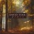 Buy David Tolk - Grace Mp3 Download