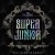 Buy Super Junior - The Renaissance Mp3 Download