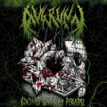 Buy Avgrunn - Conceived Genetically Perverse Mp3 Download