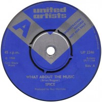 Purchase Spice - What About The Music & In Love (VLS)