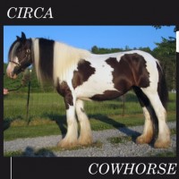 Purchase Circa - The Cowhorse