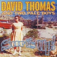 Purchase David Thomas - Surf's Up!
