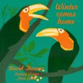 Buy David Thomas - Winter Comes Home (Vinyl) Mp3 Download