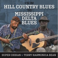 Purchase VA - From Hill Country To Mississippi Delta Blues