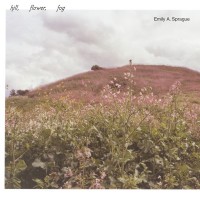 Purchase Emily A. Sprague - Hill, Flower, Fog