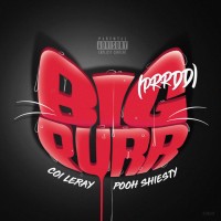 Purchase Coi Leray - Big Purr (Prrdd) (CDS)