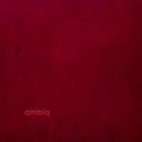 Purchase Max Loderbauer - Ambiq (With Claudio Puntin & Samuel Rohrer)