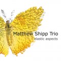 Buy The Matthew Shipp Trio - Elastic Aspects Mp3 Download